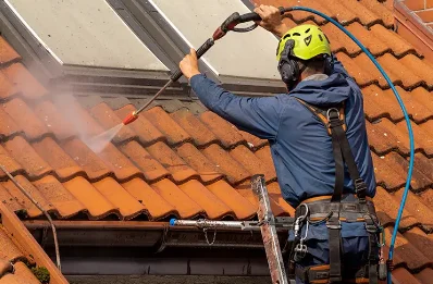 Démoussage et hydrofuge de toiture à Lezay